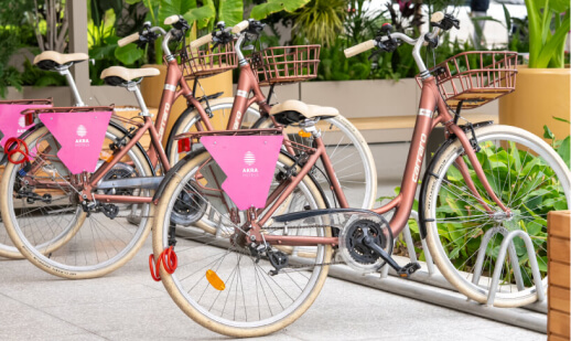 Padel & Bisiklet görseli 2